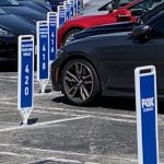 Fox Paddles Fox Paddles